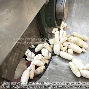 High Performance and Low Damage Cassava Peeling Machine Used Cassava Processing Process thumbnail-3