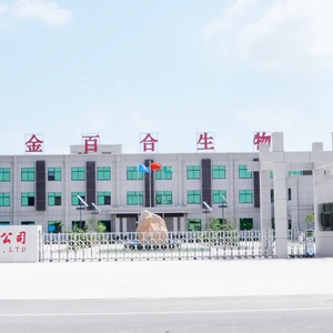 Henan Jinbaihe Biotechnology Co.,LTD company overview - view 2 thumbnail