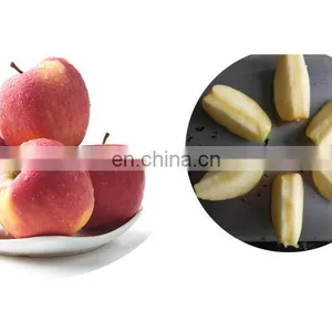 Automatic Fruit Stone Extractor Apricot and Apple Core Removal Machine. thumbnail-3