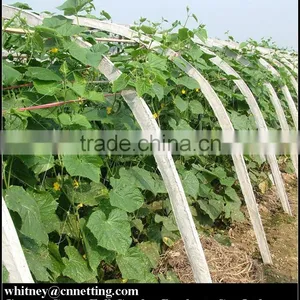 HDPE High Quality Cucumber Yam Support Plant Trellis Net thumbnail-2