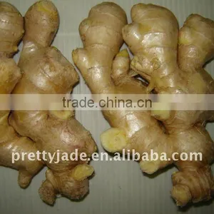 Premium Chinese Yellow Ginger thumbnail-1