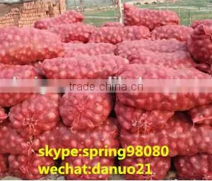 pp Mesh Bag for Onion, Vegetable Mesh Bag Wholesale,mesh Bag for Oranges thumbnail-3