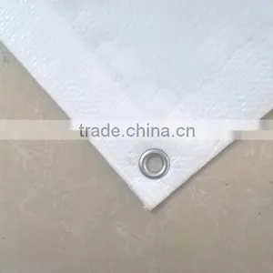 Canvas Fabric pe Tarpaulin Sheet thumbnail-6