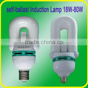 E40 Bulb Induction Lamp thumbnail-1