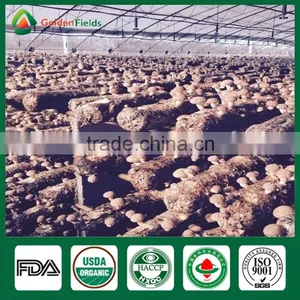Fresh Shiitake Mushrooms For Sale,Best Mushrooms To Grow,Best Mushroom Spores thumbnail-3