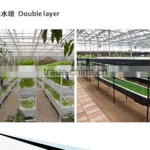 Garden Greenhouse Three Layer Hydroponics for Agricultural thumbnail-4