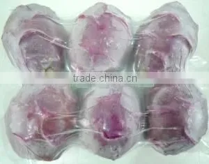 BEST PRICE FRESH DRAGON FRUIT thumbnail-1