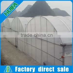 8m Width Multi-span Plastic Film Tunnel Vegetable Greenhouses for Sale thumbnail-6