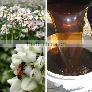 Buckwheat Honey thumbnail-3