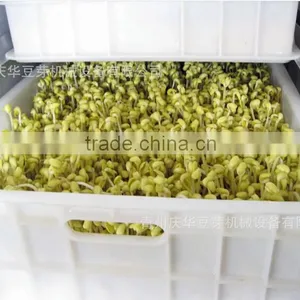 Full-automatic Bean Sprouts Machine(CE) thumbnail-3