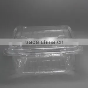 Disposable PET Clear Container, Plastic Snap thumbnail-2