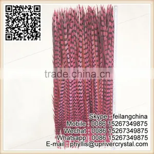Top Selling New Design 90-100CM Watermelon Reeves Pheasant Feather thumbnail-1
