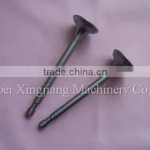 Durable Using Low Price High Quality Diesel Engine Valve Set thumbnail-2