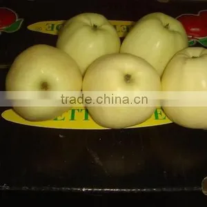Golden Apple thumbnail-1