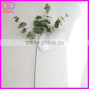 Names of Leaves in India,types of Ornamental Plants thumbnail-1