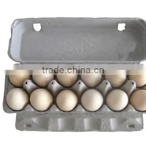 Egg Box Carton Machine Egg Box Machine Paper Tray Best thumbnail-3