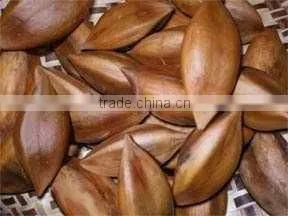 High Quality Pili Nuts thumbnail-1