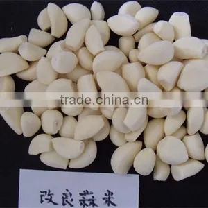 IQF Peeled Garlic for Sale / Frozen Garlic for Export thumbnail-4