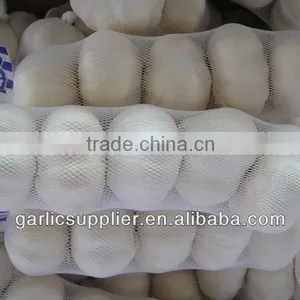 2013 Pure White Garlic thumbnail-1
