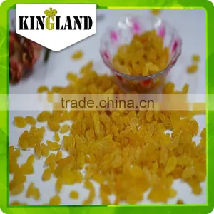 Wholesale All Types of Gold Raisin With Best Price and High Quality thumbnail-1