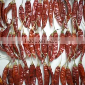 Dried Red Dry Chili thumbnail-1