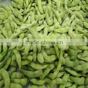 2016 New Crop Frozen Soybean Kernel thumbnail-1