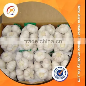 Fresh Garlic With Small Packing thumbnail-5
