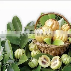 100% Natural Garcinia Cambogia Extract thumbnail-4