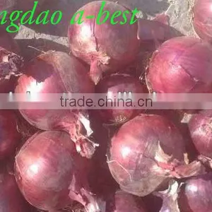 Fres Onion thumbnail-3