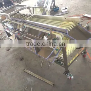 Date Grading Machine, Date Sorting Machine, Chinese Date Processing Machine thumbnail-3