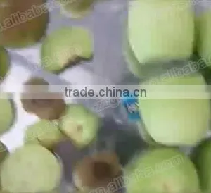 High-Rate Fruit Kiwi Peeling Machine, Orange Peeling Machine thumbnail-4