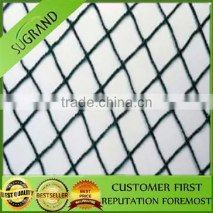 Hot Sale New Material Plastic Anti Bird Nets for Fruit Farm thumbnail-3