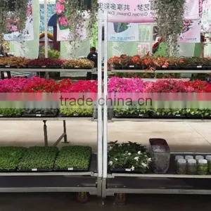 Garden Flower Display Shelf / Metal Storage Shelf thumbnail-1