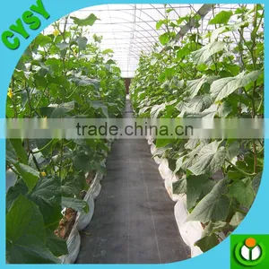 [Manufacturer] PP/PE Woven Anti Weed Mat, Weed Control Mat Made up of Pp/pe thumbnail-2