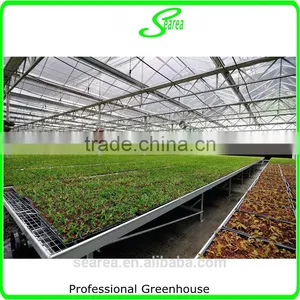 Multi- Span Potato Film Greenhouse for Sale thumbnail-2