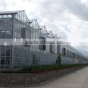 Steel Structure Stable Constant Temperature Glass Greenhouse Automation thumbnail-1