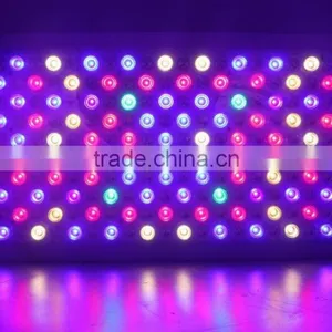 2016 Hot-selling LED Grow Light 1000w Full Spectrum for Greenhouse and Indoor Plant Flowering Growing (Red Blue UV IR) thumbnail-4