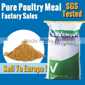Meat And Bone Meal / MBM 60% 65% High Protein thumbnail-1