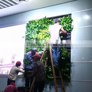 Factory Price Plastic Plant Vertical Green Wall Garden Walls thumbnail-4