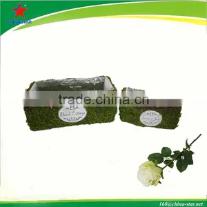 Indoor Moss Garden Flower Pot thumbnail-1