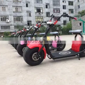 2017 Brand New Zhejiang Factory Electric Bike Fat Tire Citycoco 6 thumbnail-3