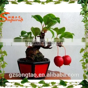 Artificial Plants and Trees/china Supplier Artificial Red Pomegranate Bonsai Tree thumbnail-2