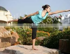 2012 OEM Fashion Ladies Yoga Suits/fitness Wear/sport Suit thumbnail-1