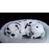 Valentine New Product Gift, Festival Ornaments, Handmade Fake Fur Animals, Christmas Gift thumbnail-1