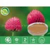 Red Clover Extract thumbnail-1
