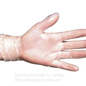 Disposable Vinyl Gloves thumbnail-1