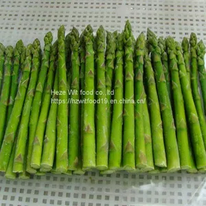 Frozen Asparagus thumbnail-1