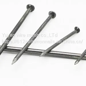 Common Nail/ Iron Nail/ Wire Nails thumbnail-1