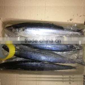 Seafood Spanish Mackerel thumbnail-1