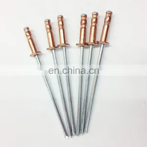 Aluminum Stainless Steel Large Head Blind Pop Rivets Colored thumbnail-3